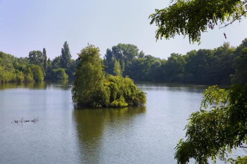 Résidence Les Rives de la Fecht - Colmar Ouest