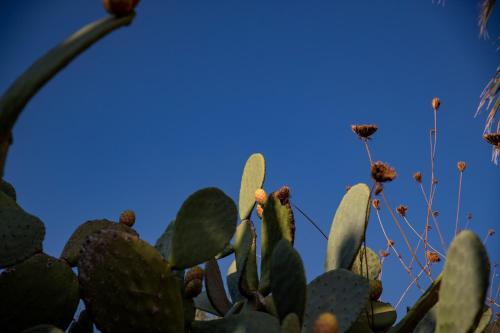 Hotel L'Ariana ISOLE EOLIE - UNA Esperienze