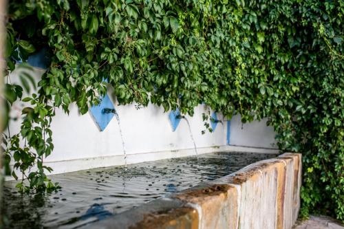  Hacienda Minerva in Zuheros