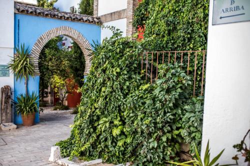 Hacienda Minerva Hôtel