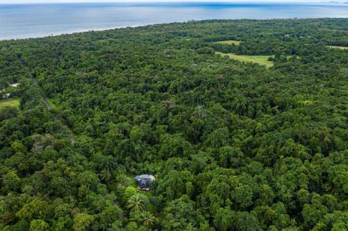 Cape Tribulation Holiday House