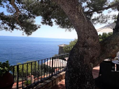 Villa Transatlantique en premiere ligne de mer dite Villa Esmeralda