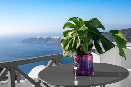 شرفة/ تراس, Abelonas Retreat in إيميروفيجلي