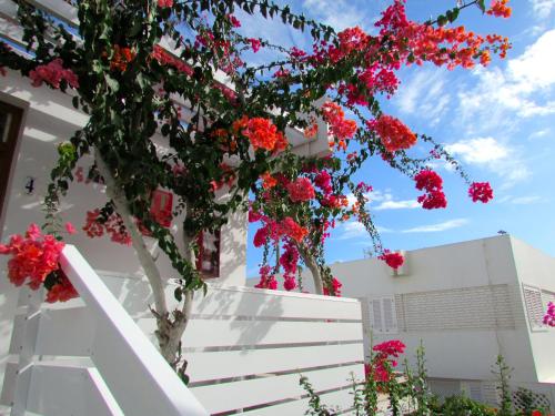Apartamentos El Capricho - main image