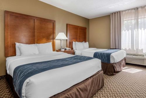 Comfort Inn South