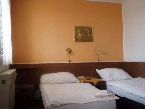 Pension Sparta, Praha (fotografie 9)