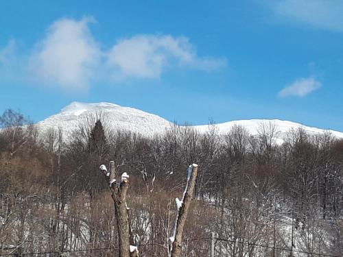 Pokoje Gościnne Dorota Andreasik