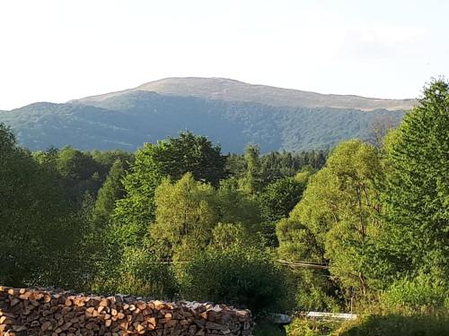 Pokoje Gościnne Dorota Andreasik