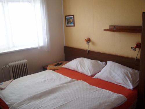 Pension Sparta, Praha (fotografie 10)