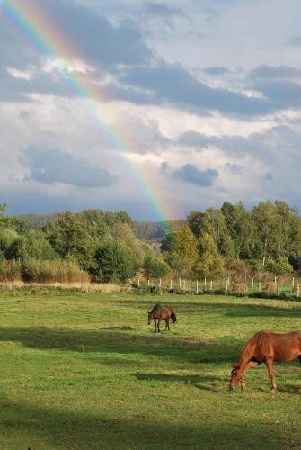 Agroturystyka Mętno 18 - Hotel - Mętno