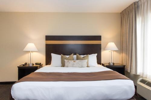 Standard King Room