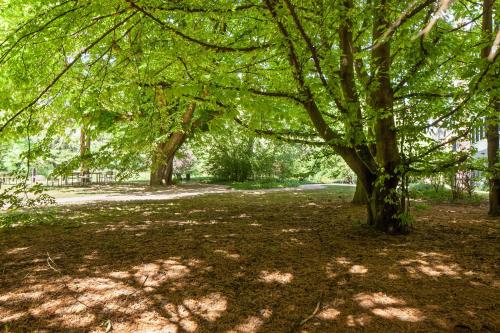 25 Zi Design Loft Wohnung mit Gartensitzplatz - image 13