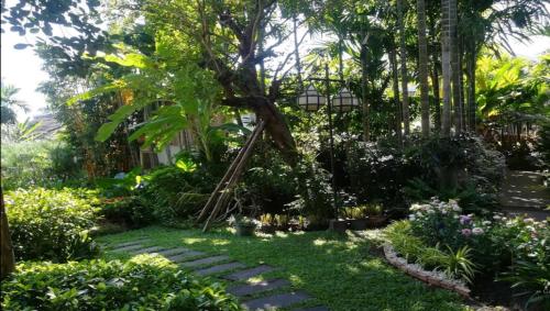 Viang thapae hotel