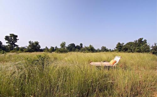 Samode Safari Lodge