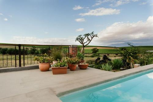 Vineyard Views Country House