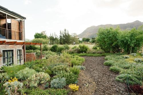 Vineyard Views Country House Riebeek Kasteel South Africa
