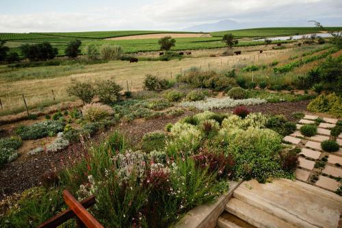 Vineyard Views Country House