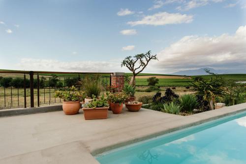 Vineyard Views Country House - 정원