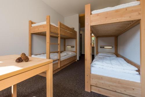 Sport Resort Fiesch - Fiescher Hostel - image 6