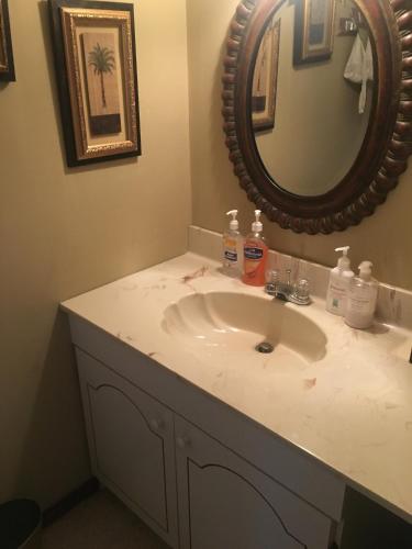 106 Village at Camelback in Tannersville, USA
