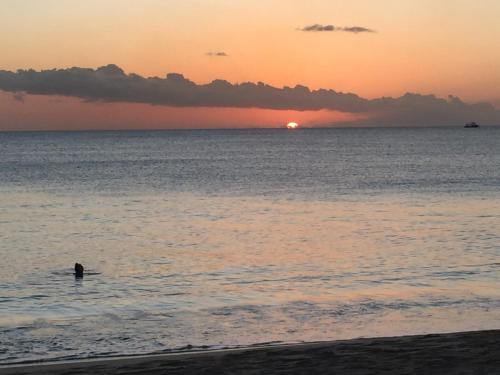 Tantalus, Bridgetown (foto 3)