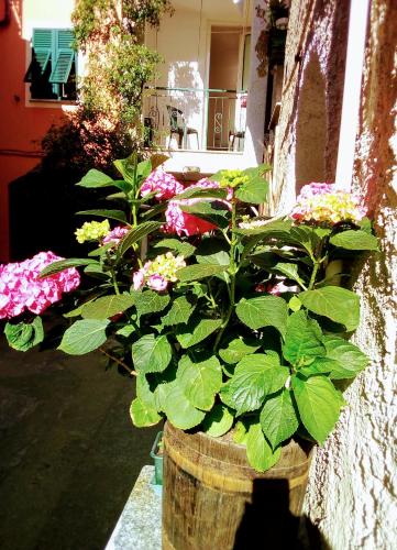  Casa La Quiete in Orco Feglino