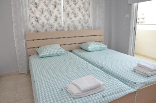 The olive tree apartment