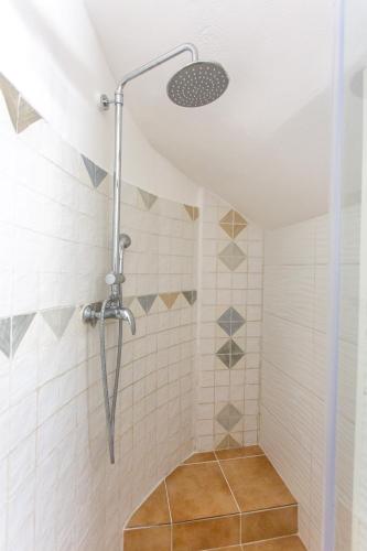 Les Augustins - image 5