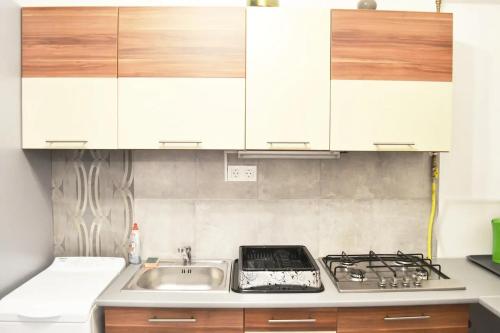 Amazon Apartment near the famous party Boulevard, Budapešť (fotografie 2)