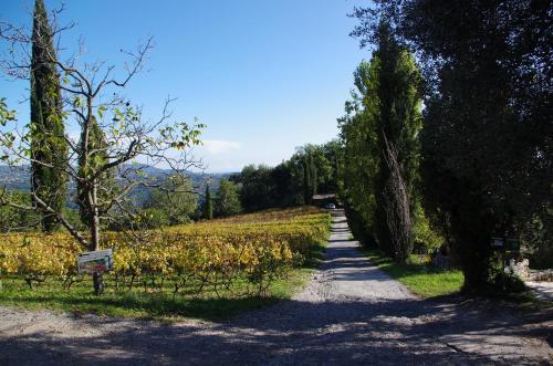 Studio l'Olivette null - Gattières visuel 6/6