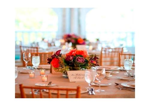 Ionian Princess图片