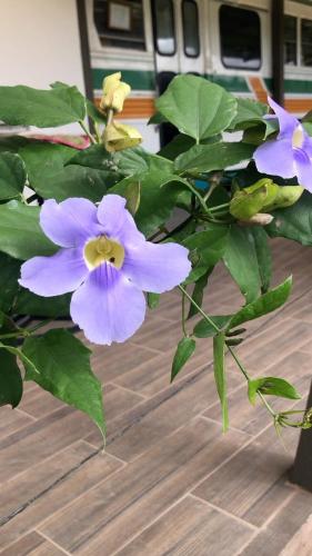 Posada Cañaveral Posada Cañaveral