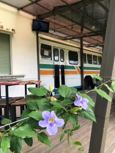 Posada Cañaveral Posada Cañaveral