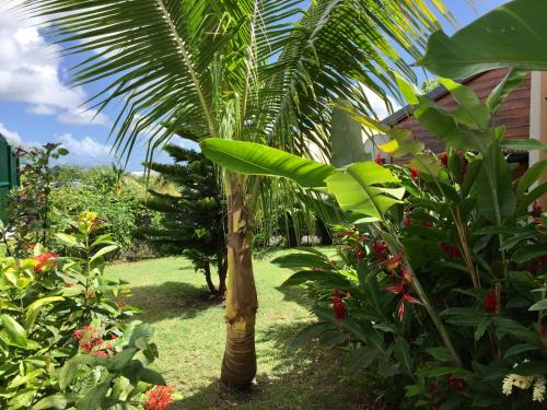 Jardim, Villa Saphir B & B in Bois Jolan