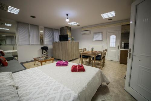  Odysseas apartment in Tríkala