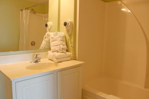 Grand Atlantic by Palmetto Vacations - image 7