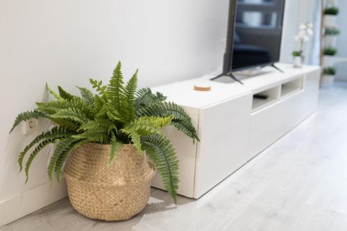 Three-Bedroom Apartment image 10