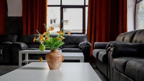 Hotel Cirus - image 3