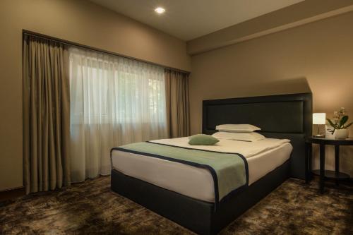 Rosslyn Thracia Hotel Sofia - image 13