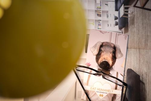 Sovrana Hotel & SPA - image 2