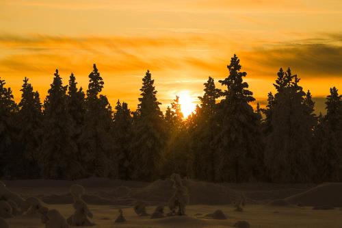 Kakslauttanen Arctic Resort - Igloos and Chalets - image 3