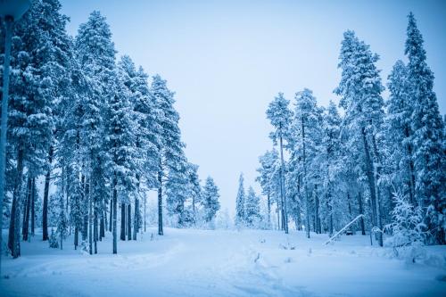 Hotel Jeris - image 7