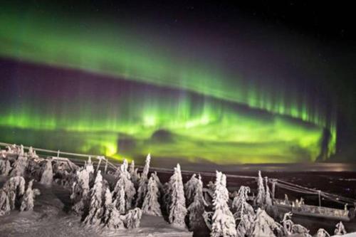 Cosy studio apartment - perfect for your stay in Rovaniemi! in Ahkiomaa