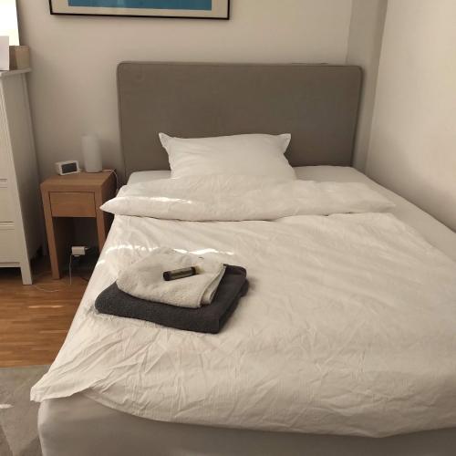 Großzügiges Zimmer mit Badezimmer in Rheinwohnung, Cologne (photo 3)