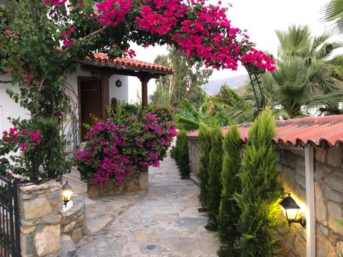  Torbamex, Pension in Torba