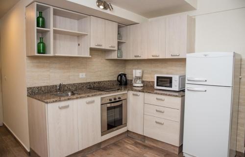 Kitchen, La Bonita Apartment in San Carlos de Bariloche