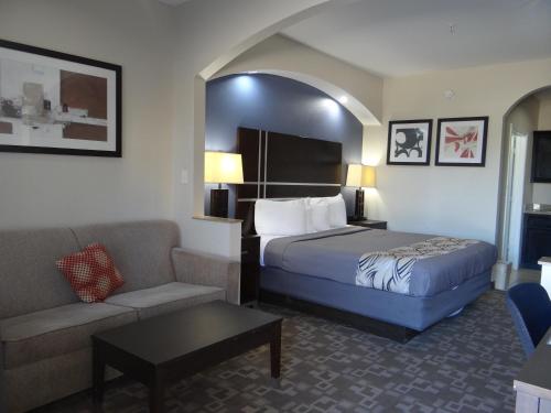 Regency Inn & Suites - Baytown