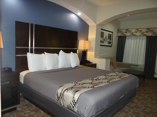 Regency Inn & Suites - Baytown