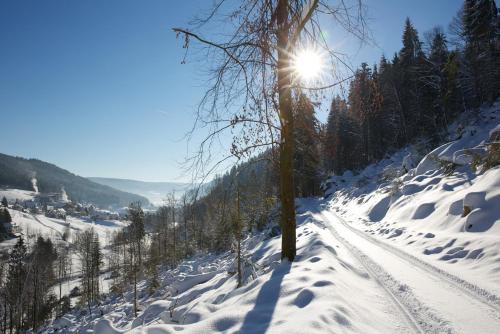 Hotel Traube Tonbach