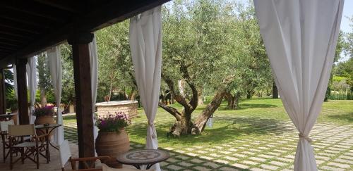 Have, Aquilamaior in Tragliata